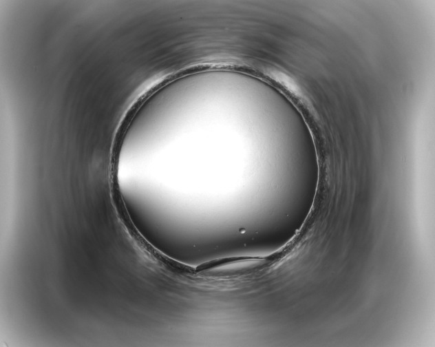 X0000086901229200704301010