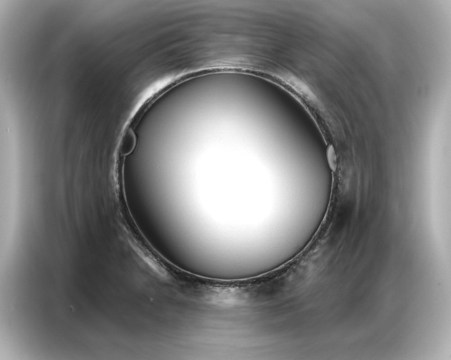 X0000086901230200704301010