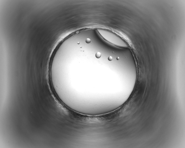 X0000086901231200704301010