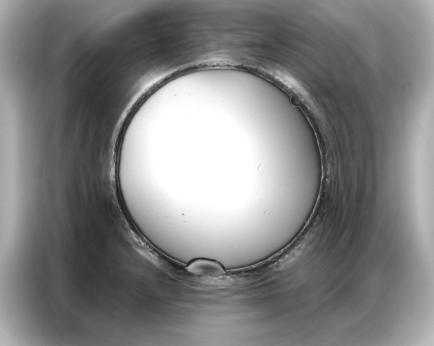 X0000086901232200704301010