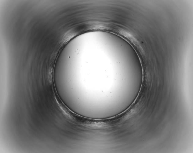 X0000086901233200704301010