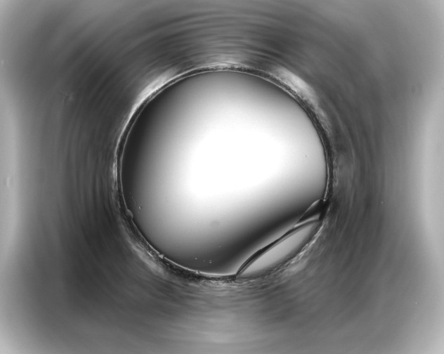 X0000086901234200704301010