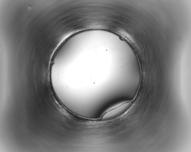 X0000086901236200704301010