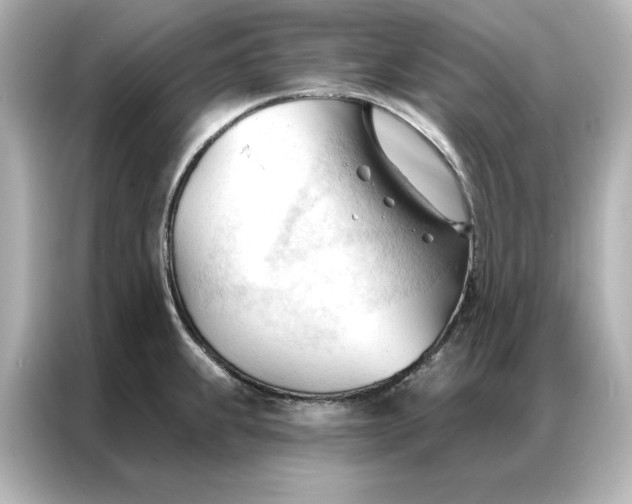 X0000086901239200704301010