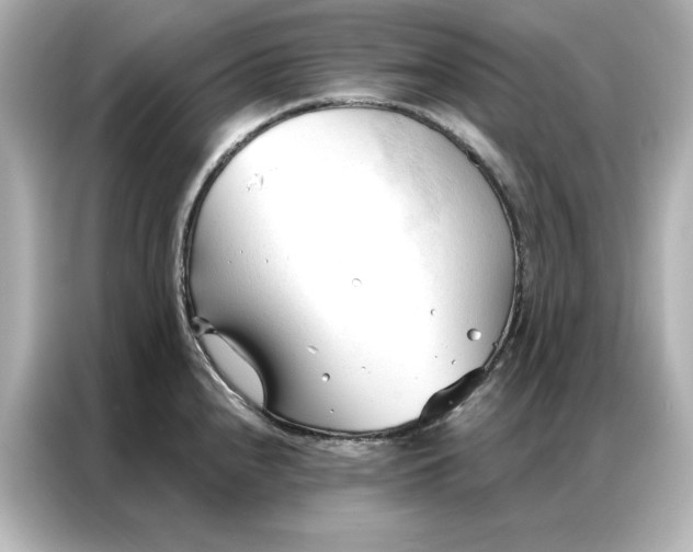 X0000086901240200704301010