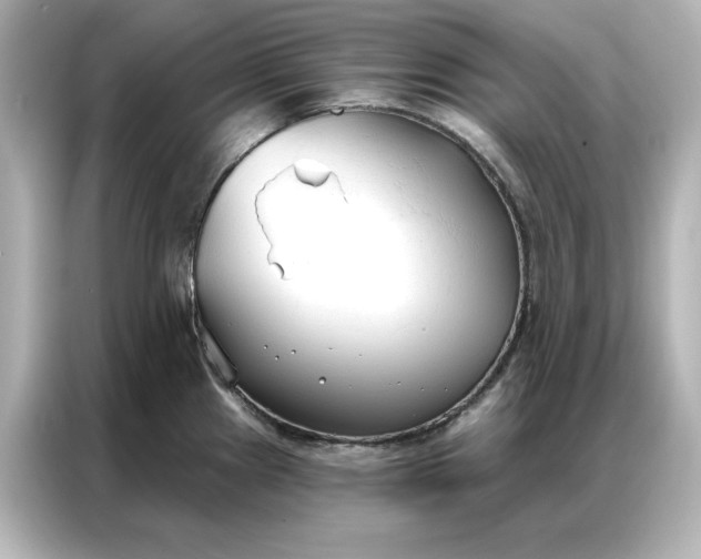 X0000086901241200704301010