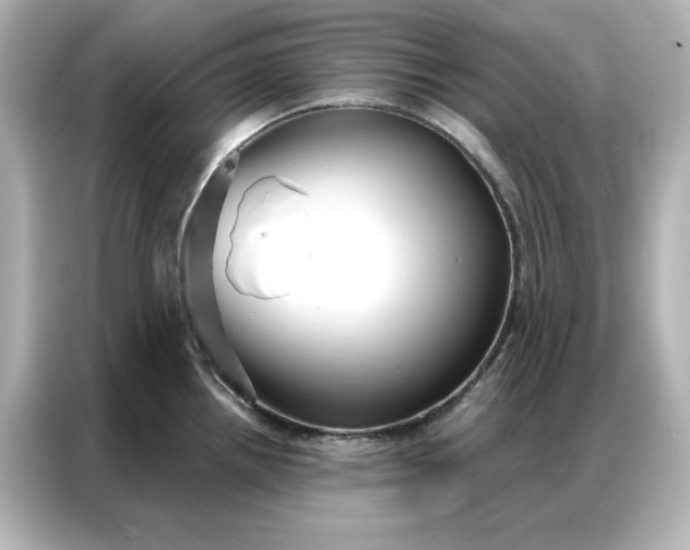 X0000086901242200704301010