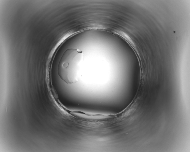 X0000086901243200704301010