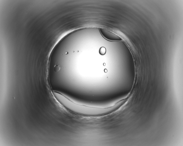 X0000086901244200704301011