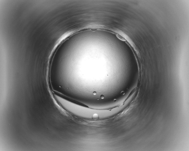 X0000086901245200704301011