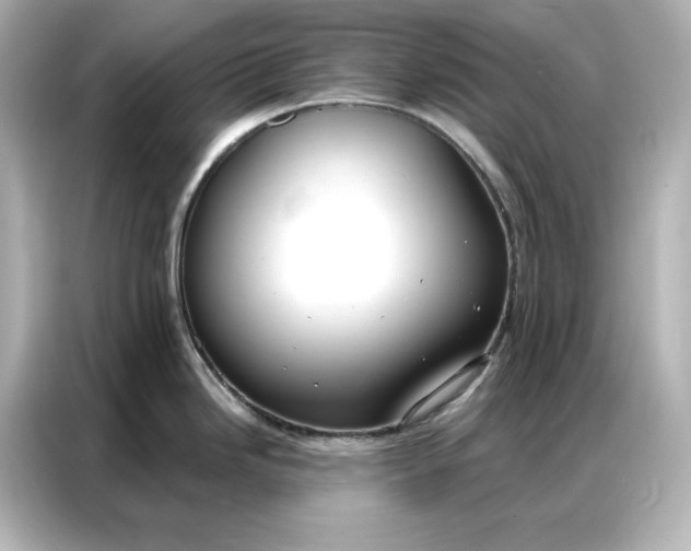 X0000086901246200704301011