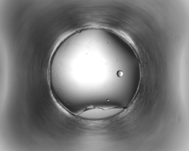 X0000086901247200704301011