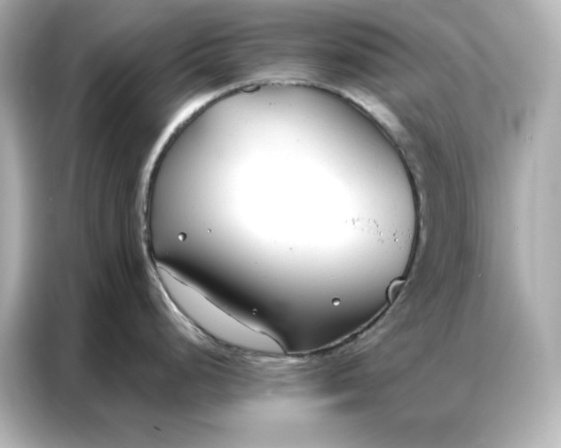 X0000086901248200704301011