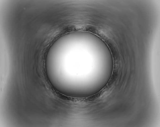 X0000086901249200704301010