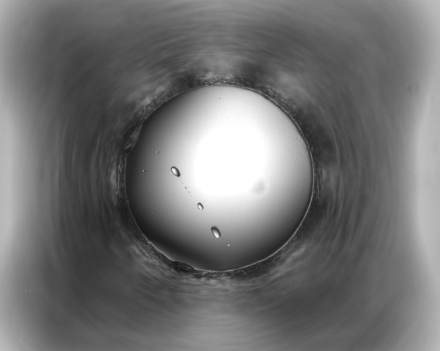 X0000086901250200704301010