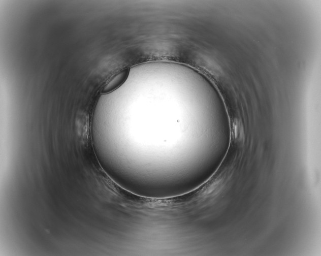 X0000086901251200704301010