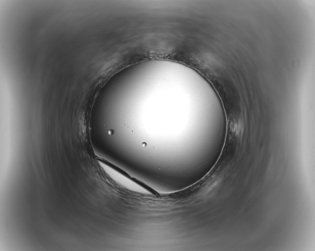 X0000086901252200704301010