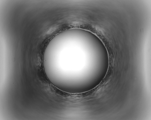 X0000086901253200704301010