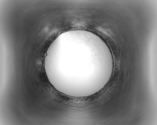 X0000086901254200704301010