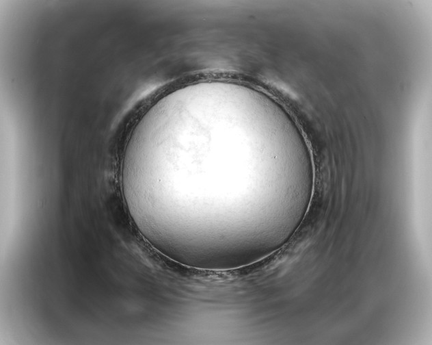 X0000086901255200704301010