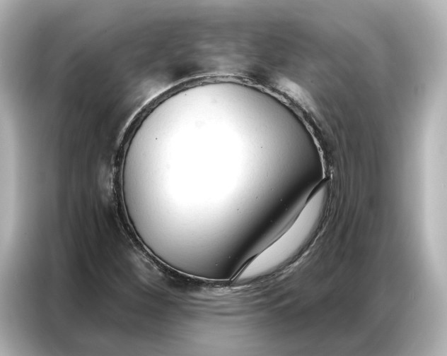 X0000086901260200704301010