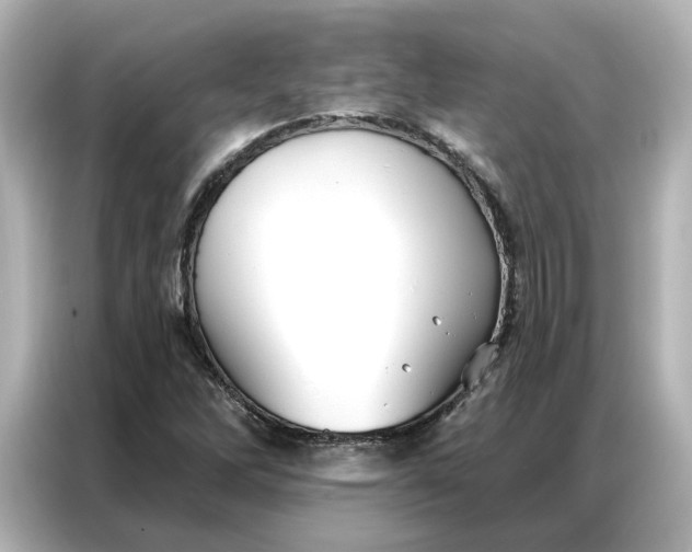 X0000086901262200704301010