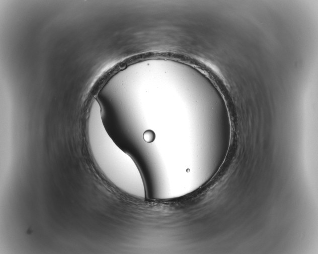 X0000086901263200704301010