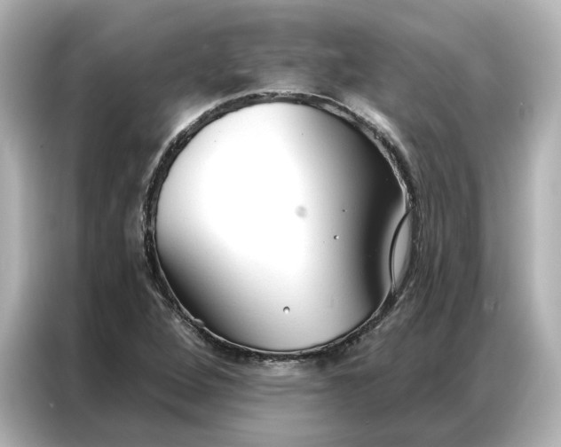 X0000086901264200704301010