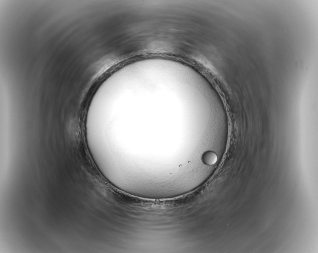 X0000086901266200704301010