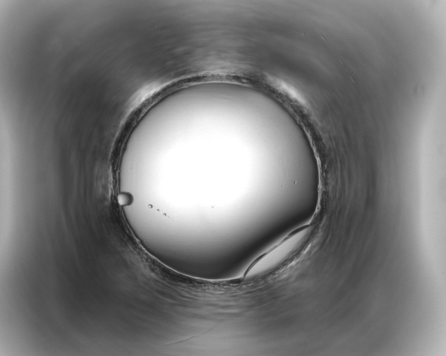 X0000086901267200704301010