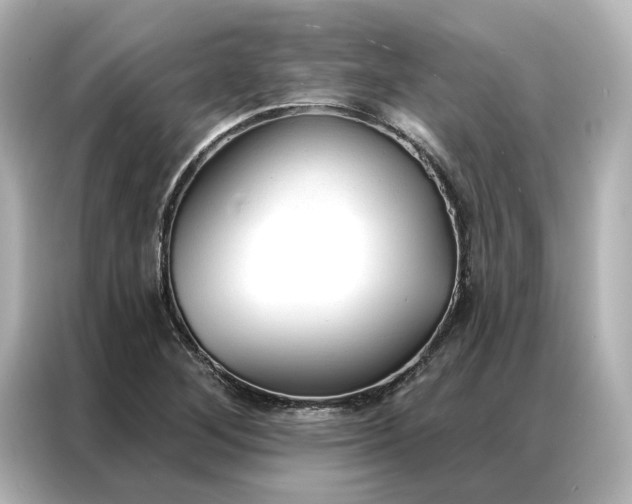 X0000086901268200704301010