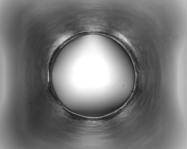 X0000086901269200704301010