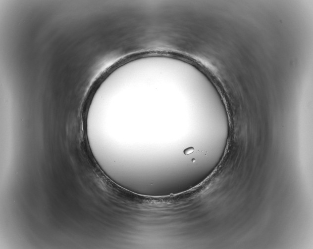 X0000086901271200704301010