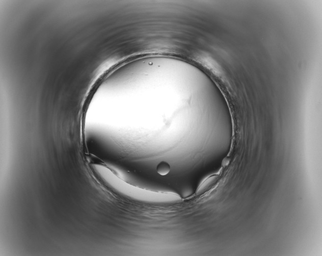 X0000086901275200704301010