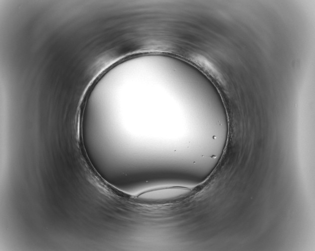 X0000086901276200704301010