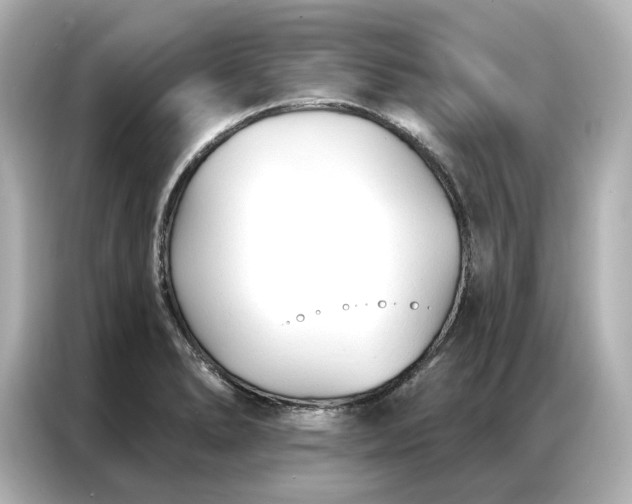 X0000086901278200704301010