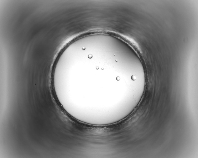 X0000086901279200704301010