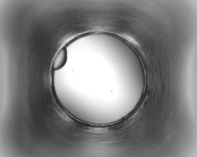 X0000086901280200704301010