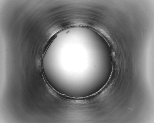 X0000086901281200704301010