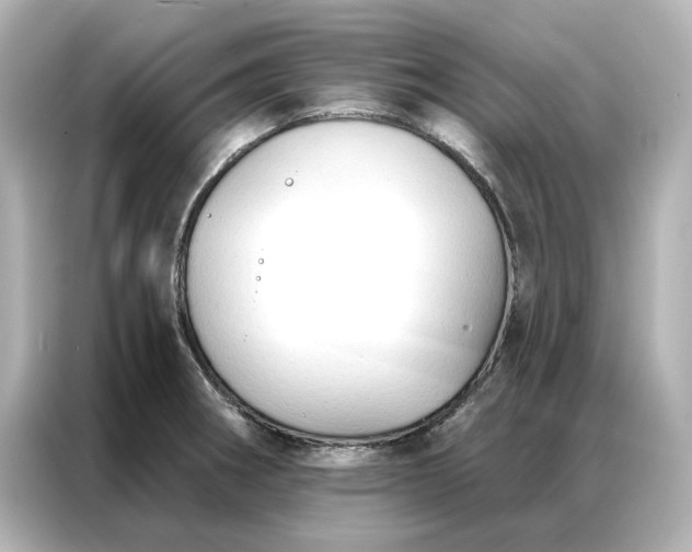 X0000086901282200704301010