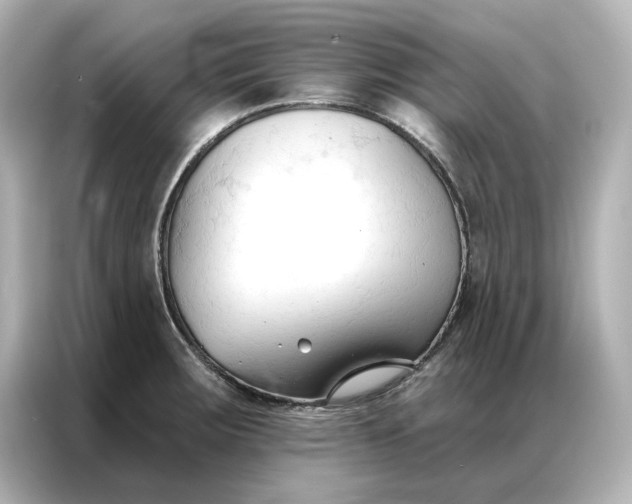 X0000086901283200704301009