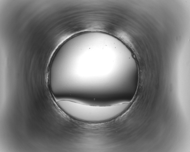 X0000086901284200704301009