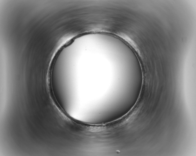 X0000086901285200704301009