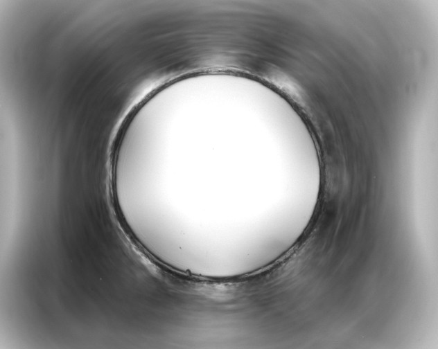 X0000086901286200704301009