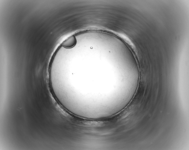 X0000086901287200704301009