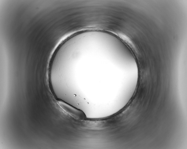 X0000086901288200704301009