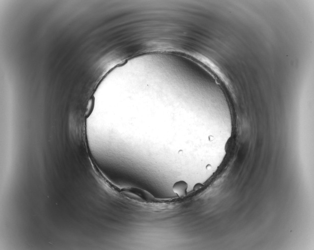 X0000086901289200704301009