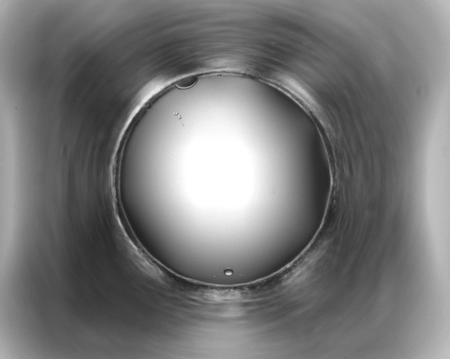 X0000086901291200704301009