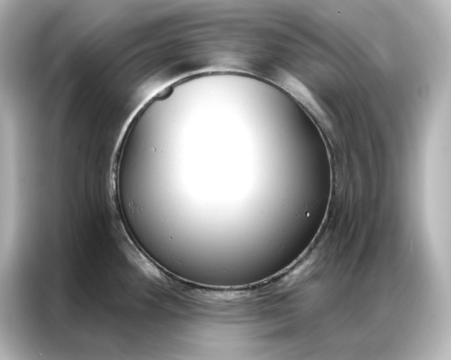 X0000086901292200704301009