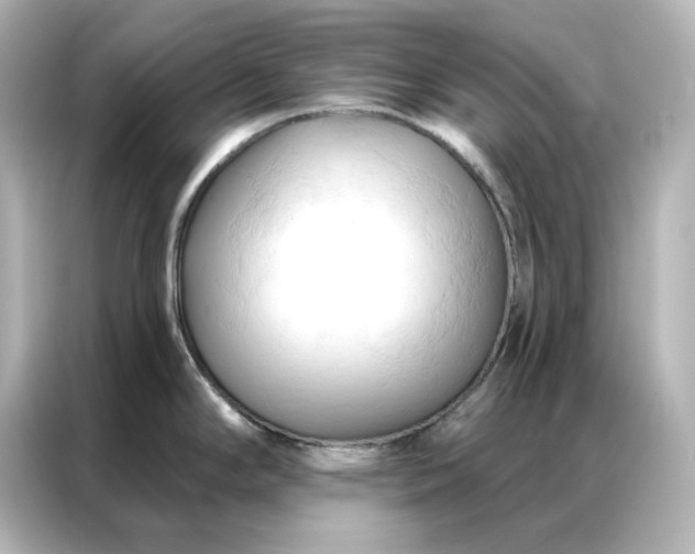 X0000086901294200704301009